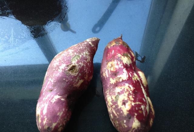 流糖汁|电饭锅版烤红薯,不加一滴水,红薯软糯流糖汁,比买的好吃多了