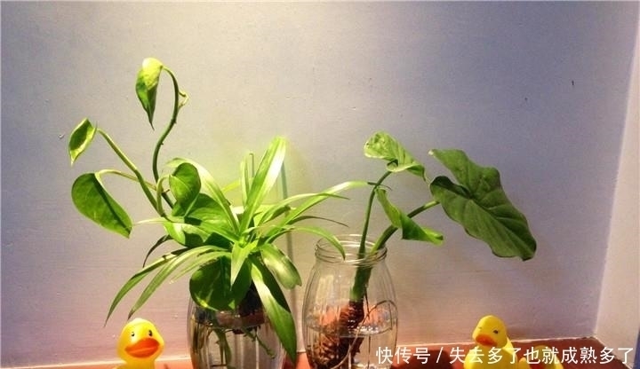 发育|孩子卧室里有这3样东西,耽误孩子发育还容易生病,这可不是迷信