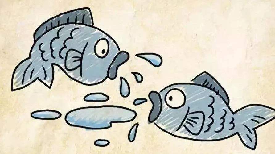 庄子&庄子用三条鱼,表达三种人生境界,道出生活的真谛