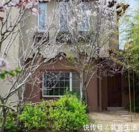 豪宅|晒晒郎朗住的豪宅,光客厅就有三层楼高,楼梯设计超像钢琴键