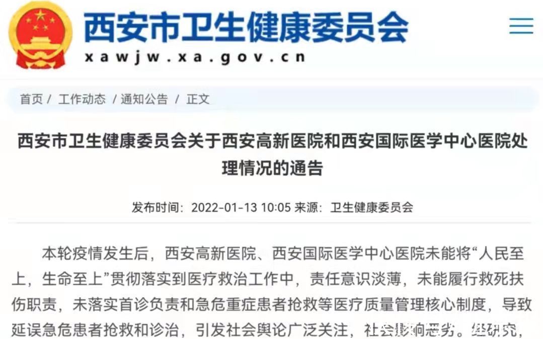 马健|新闻8点见丨十座冬奥主题花坛即将亮相，你最期待哪一个？