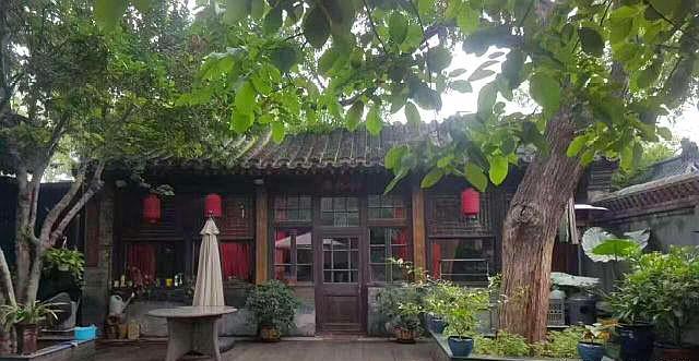 有院子的朋友，想在院子种树，这五个“不要”要了解！