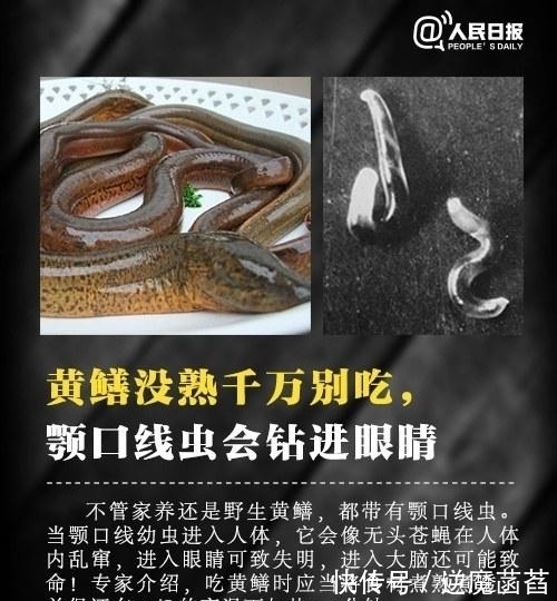 甲鱼|生吃蚯蚓会感染寄生虫吗？盘点中国三大“活菜”，让人头皮发麻
