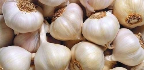 山药|有胃病的人,记得多吃这几种食物,消炎灭菌,胃癌都不敢来