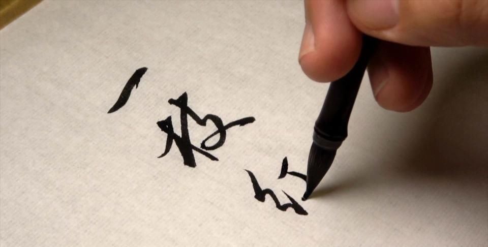 白头|一味药,染黑人间少白头!这张小方子,融入两千年智慧,值得学