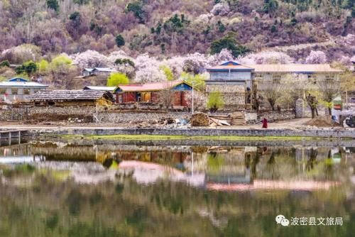 林芝桃花最密集、最壮观的观赏地，在这里！