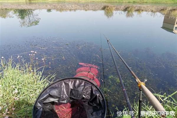 冬季钓鲫鱼，从这四个方向找鱼群，满足三条就是鱼扎堆的地方！