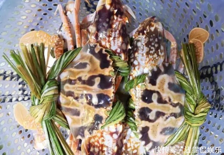 海蟹|开海后常见的海蟹种类有哪些哪种螃蟹最好吃