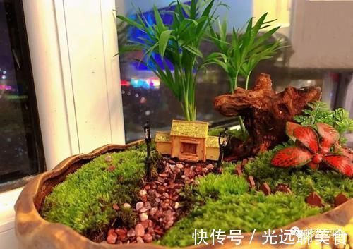 高手|街上没人要的几种东西，都是养花宝贝，养花高手早早就捡回家了