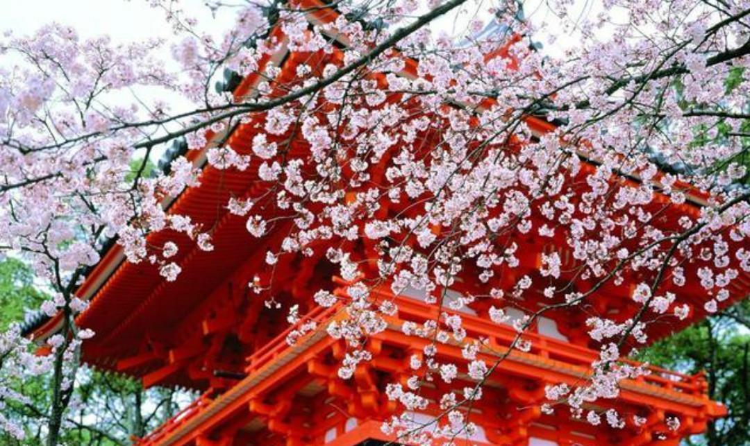 春深|清初大诗人施闰章一首《山行》,同样写得很美,山野春景如诗如画