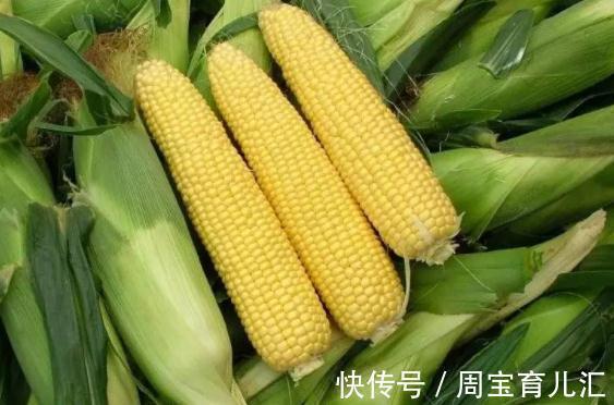 红薯|长寿老人爱吃的5种食物,补血益气,延年益寿,爱吃一种你就赚了