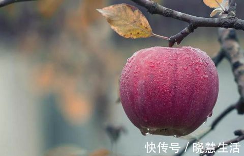 失眠|常吃这几种水果，一觉睡到天亮不失眠，省下无数补品钱！