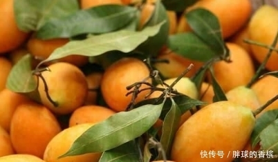 甩掉|立冬后,常吃此果,每天一个,润肺止咳,排毒清肠,甩掉大肚腩!