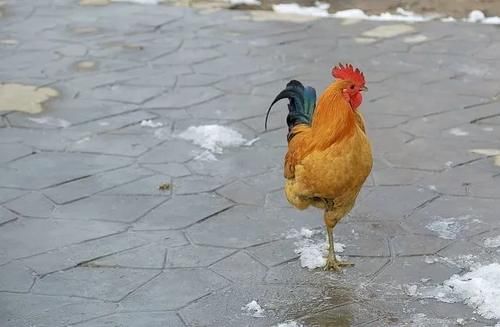 金鸡独立|血管堵不堵,晚上睡觉是否有这4个现象,若有1个,血管比较健康