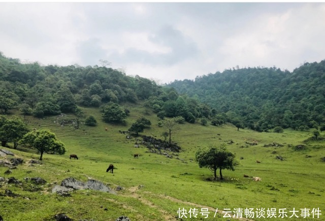 苏格兰|「马边仰天窝」四川境内的“小苏格兰”