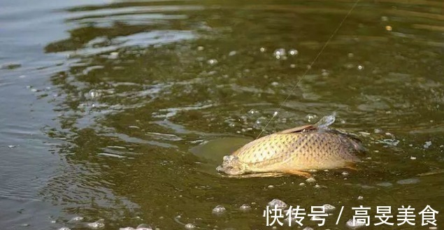 野钓|户外作钓,几种常见的误区会让新手朋友栽跟头,希望没有说到你