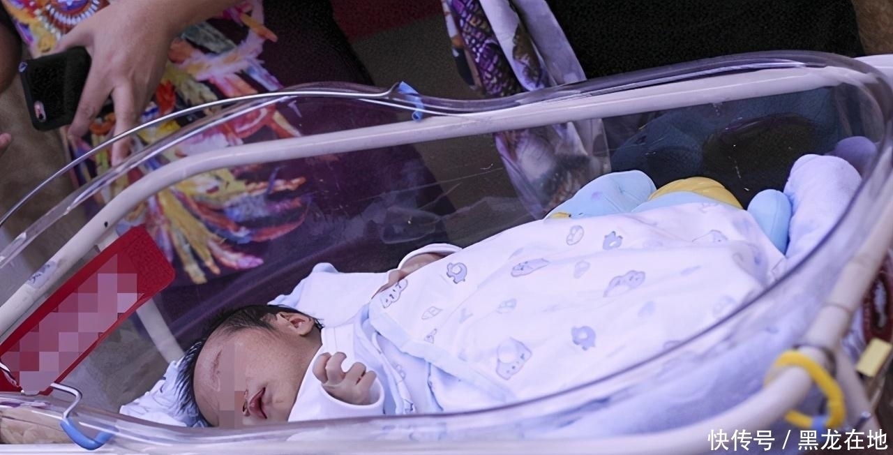 子女|独生子女家庭和多子女家庭,不用等20年后,现在就能看出差别