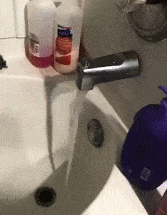 |搞笑GIF趣图:别以为鸡好欺负?真发起威来比狗还厉害