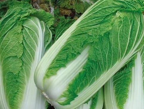 维生素c|炒白菜不能放此种东西，吃了就是自己找罪受，现在明白还不晚