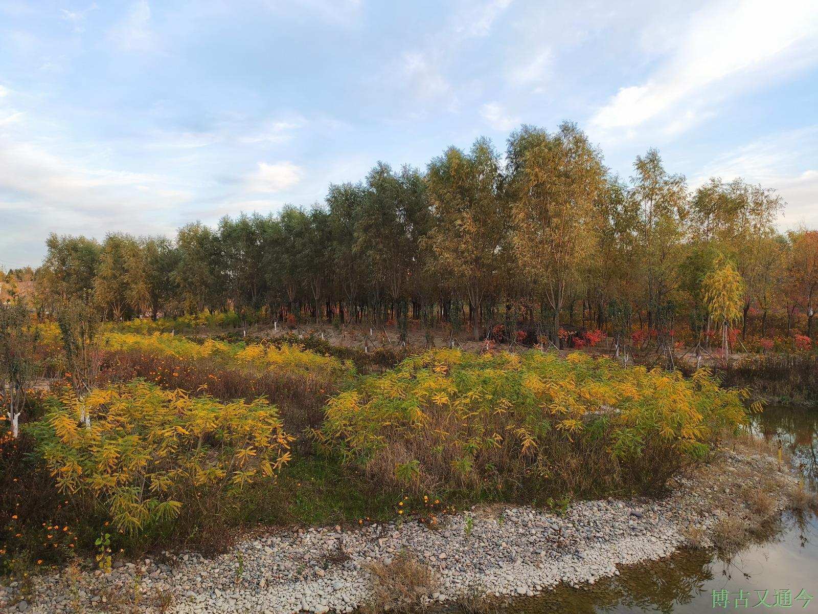 灭亡|夕阳下的温榆河示范区东园(下),看火星般颜色的日落