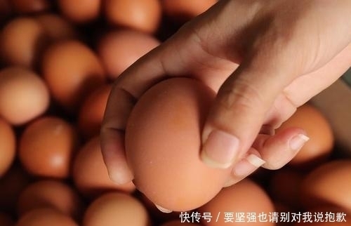 买鸡蛋时,白壳和红壳鸡蛋选哪种好?教你三招,买到好鸡蛋