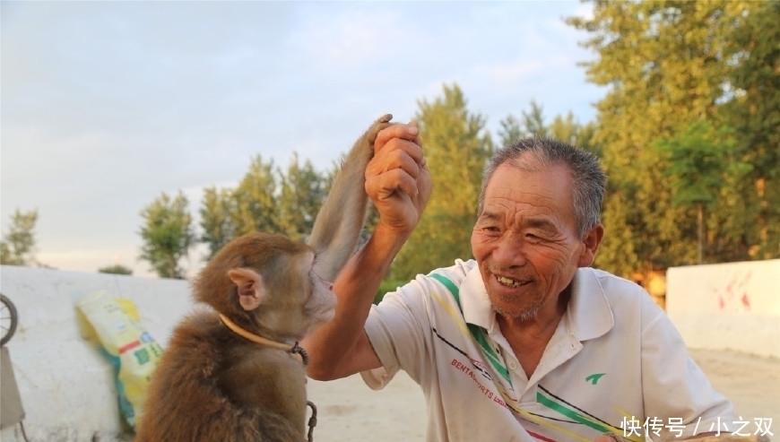  杂技|猴在我在“杂技之乡”的7旬训猴老汉与猴同吃住终生未娶