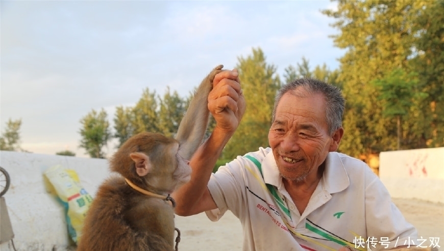 杂技|猴在我在“杂技之乡”的7旬训猴老汉与猴同吃住终生未娶