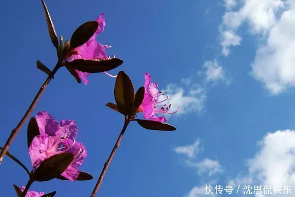 春天做背，人活百岁！5大养背妙法，通气血养五脏，全年不遭罪！