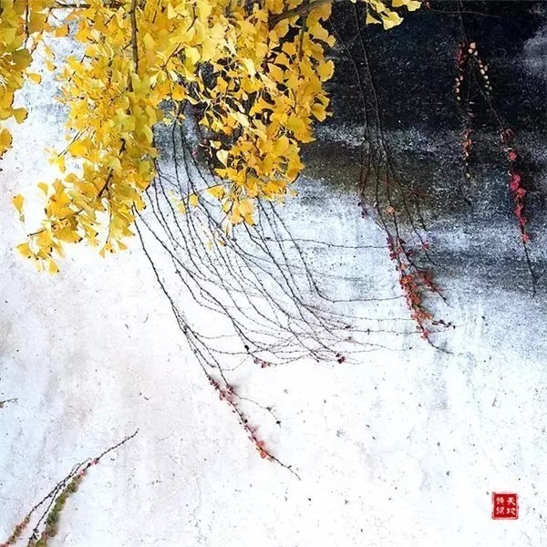 满园春色宫墙柳$意境最美的10首古诗词,陶醉其中