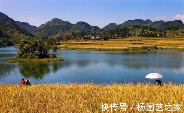 鱼窝|秋季钓鱼，选择钓位很简单，只有一条：跟着水温走，轻松找鱼窝