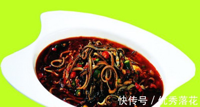 色拉油|美食推荐五夫醉鸡、豆瓣鳝丝、酸菜肘子制作方法!