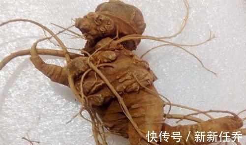 肝脏|中医肝脏有病百病生,常用“一物”泡水喝,去火养肝,防失眠