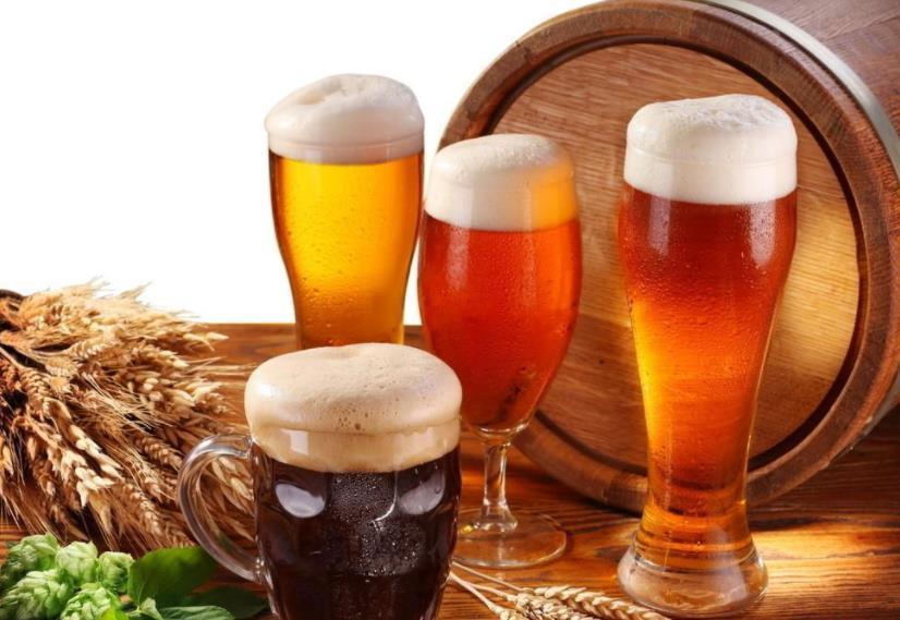 匍匐茎|夏天养金边吊兰,勤喷它,匍匐茎猛窜不停,1个月就长成瀑布