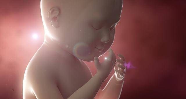 营养|当一个孩子出生时,如果体重接近这个数字,他可能长大成为聪明娃