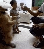 |搞笑GIF:看到最后那个动作 我悬着的心可算是放下了