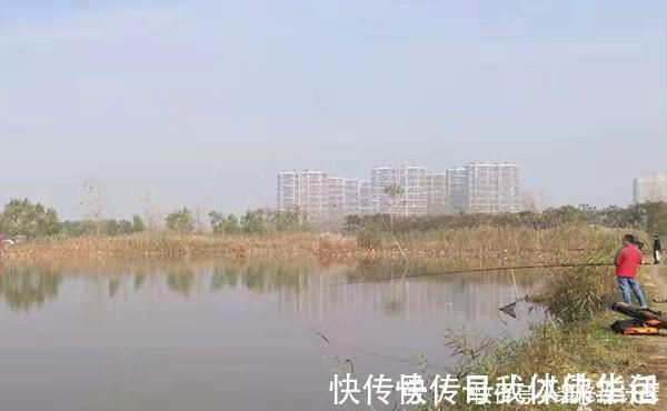 鱼窝|民间冬钓鲫鱼野路子:鲜为人知的弹钓钓法,非常有特色