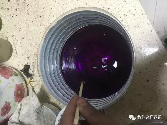 换盆不修根,等于白换,再怎么换也不好使!