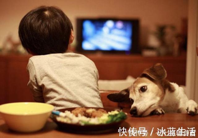 生物钟|孩子从小和谁一起睡觉，会影响他长大后的性格，家长要心里有数