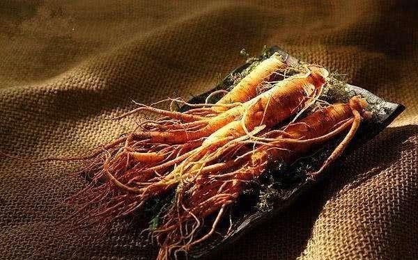 李鸿章|北洋水师军纪败坏,李鸿章杀心大起,为何独对走私一事不闻不问?