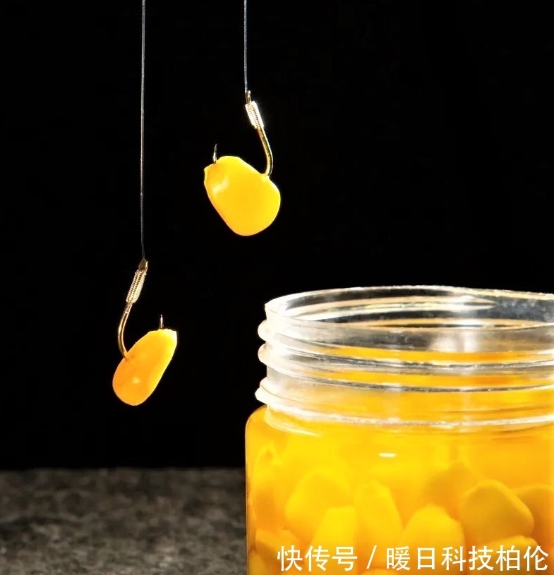 钓客|夏季用这两种饵料钓鱼，不但能钓大鱼，还可防止小杂鱼闹窝