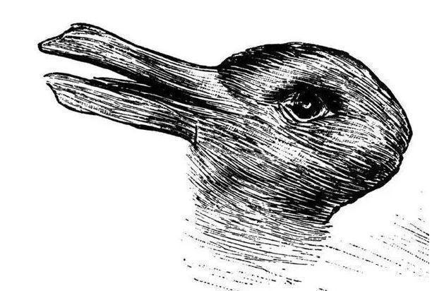 神经细胞|一张照片测出大脑年轻状态,你第一眼看到了什么?来试试