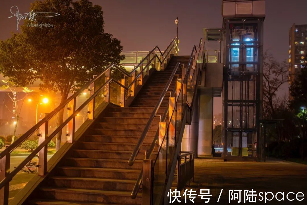 杭州|随拍夜杭州之：用心“拣拾”路边的风景，原来平凡也很美