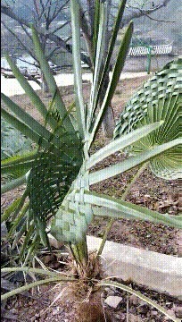 |搞笑GIF:一群单身狗活该单身,都看不见妹子倒了吗