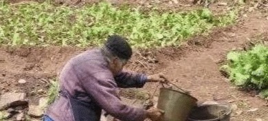 腰肌劳损|花椒+红糖太厉害了，腰腿不痛不麻了，坐骨痛也拜拜了！