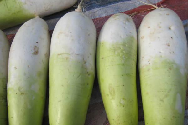 冬吃蘿卜夏吃姜,記得避開此物,有些人不是很清楚