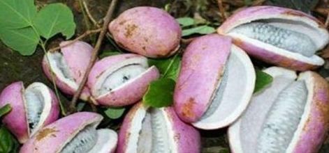 红毛丹|女人要学会养生，多吃3种食物，美容养颜，让皮肤更加细腻年轻