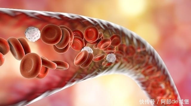 柔软|长寿的人,身体3个部位可能较“软”,你占几个?