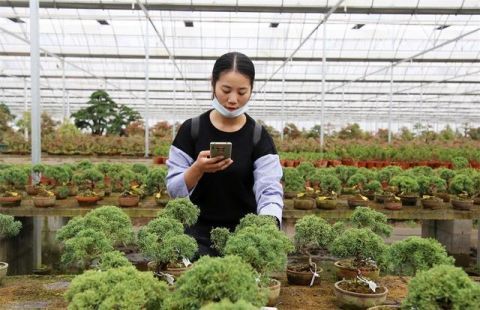 电商|物流提速增效 电商提前备货 沭阳：政企总动员迎战“双十一”