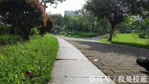 coolm为舒适而生，天越Coolmax抗菌轻弹跑鞋，跑出健康来！