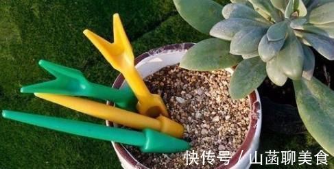 作息|最健康的作息表!只要照着做,活过百岁不是梦!